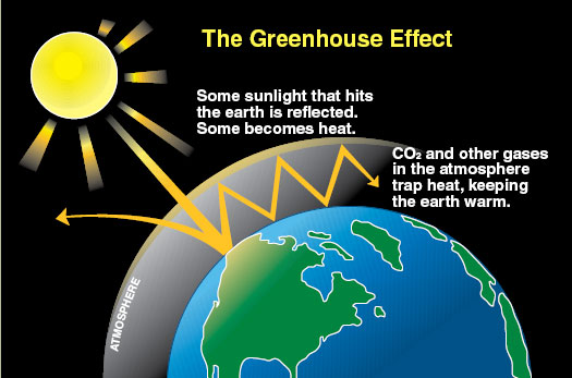 Enhanced Greenhouse Gas Effect Greenhouse Effect